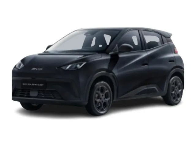 Byd Dolphin Surf 43.2 kWh 156 ch